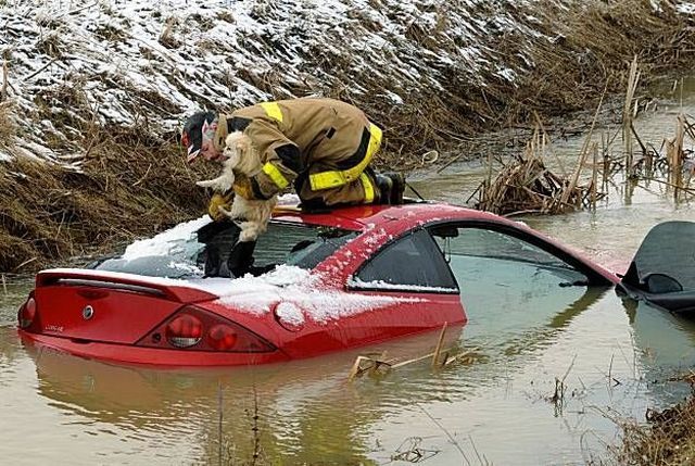 Daily picdump (142 pics)