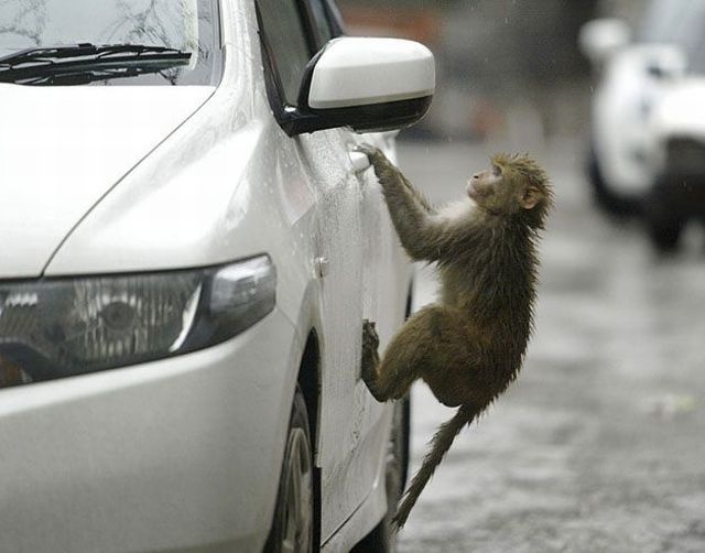 Daily picdump (142 pics)