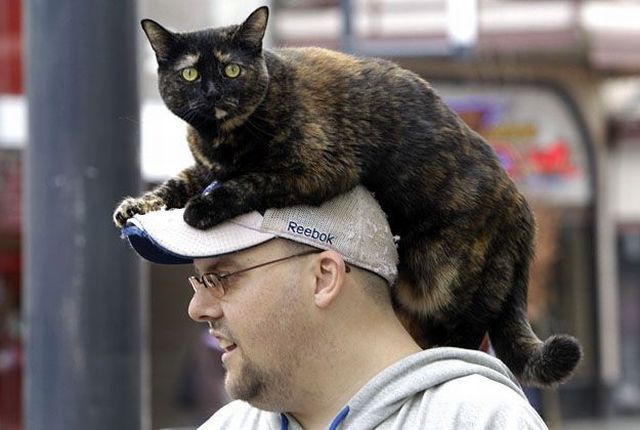 Daily picdump (142 pics)