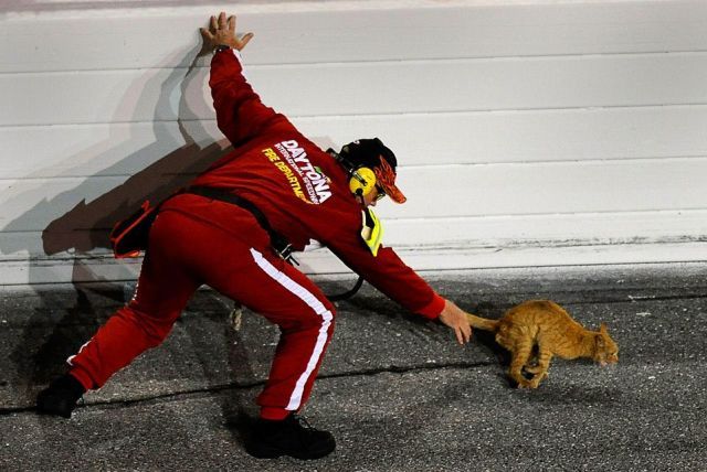 Daily picdump (142 pics)