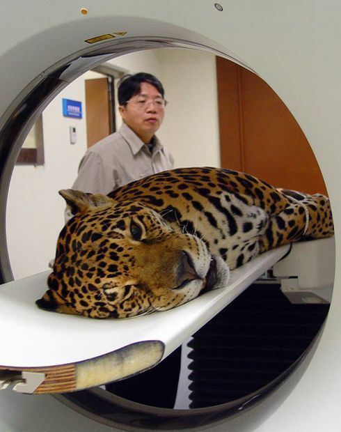 Daily picdump (142 pics)