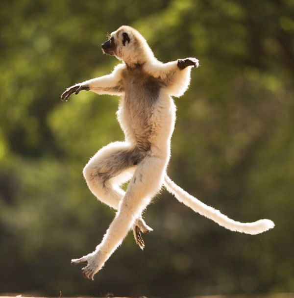 Daily picdump (142 pics)