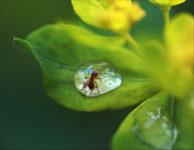 Unusually  Beautiful Photographs (54 pics)