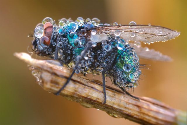 Unusually  Beautiful Photographs (54 pics)
