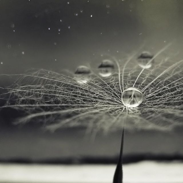 Unusually  Beautiful Photographs (54 pics)
