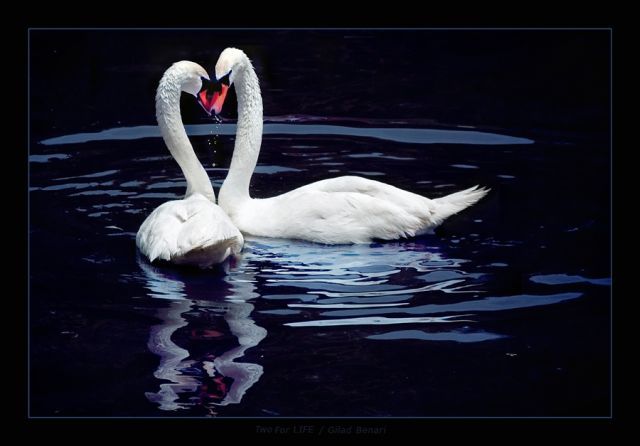 Unusually  Beautiful Photographs (54 pics)
