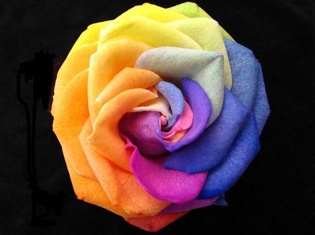 Unusually  Beautiful Photographs (54 pics)