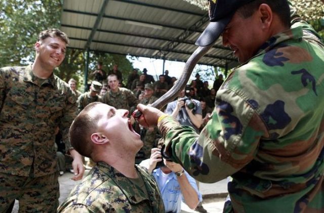 Cobra Gold 2010-Marine’s Worst Truth (24 pics)