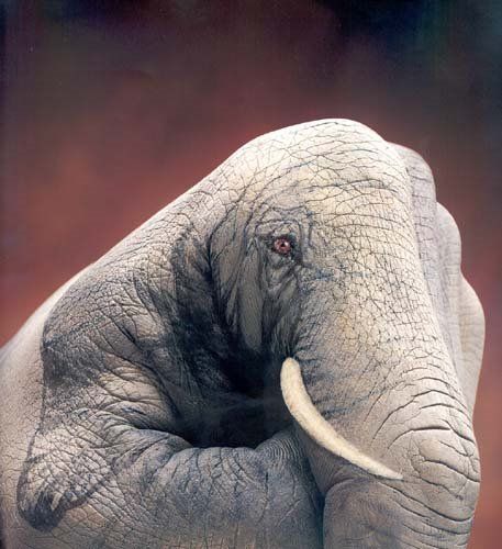 Impossible Optical Illusions (49 pics)