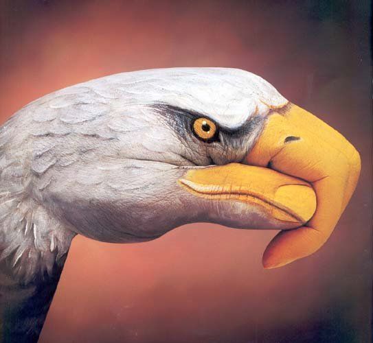 Impossible Optical Illusions (49 pics)