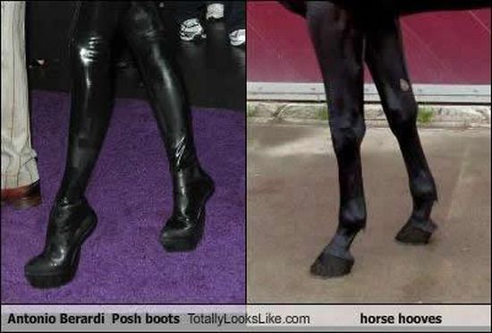 Funny Look Alikes (67 pics)