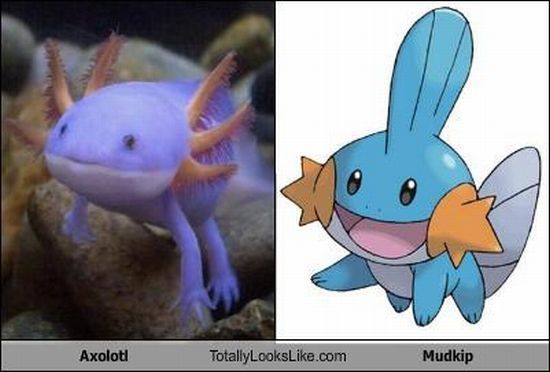 Funny Look Alikes (67 pics)