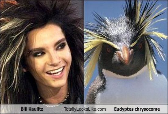 Funny Look Alikes (67 pics)