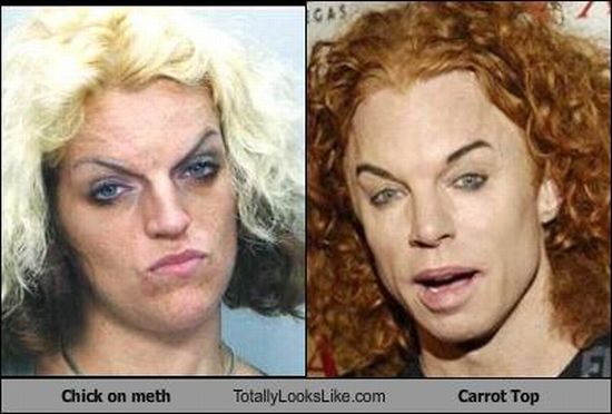 Funny Look Alikes (67 pics)