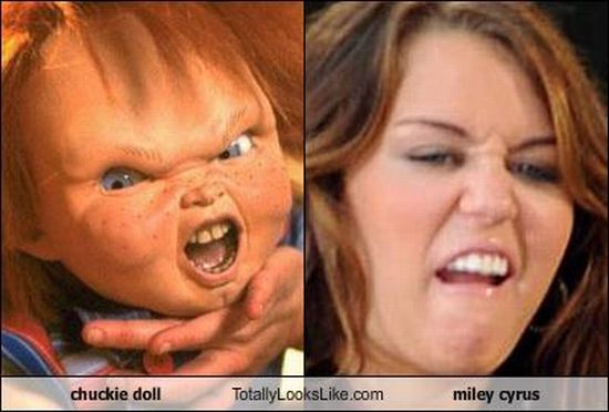Funny Look Alikes (67 pics)