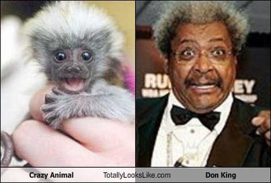 Funny Look Alikes (67 pics)