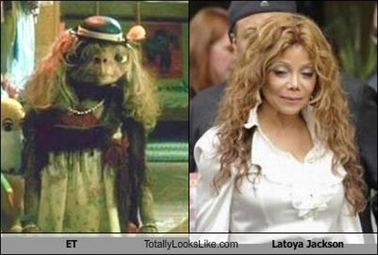 Funny Look Alikes (67 pics)