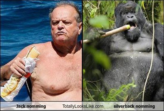 Funny Look Alikes (67 pics)