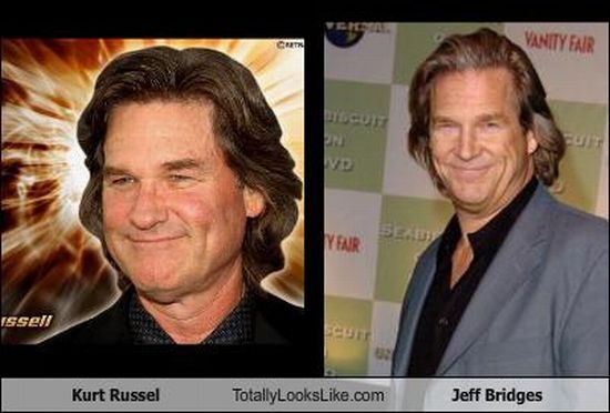 Funny Look Alikes (67 pics)