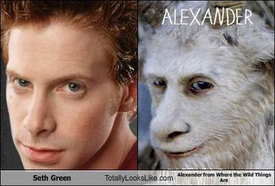Funny Look Alikes (67 pics)