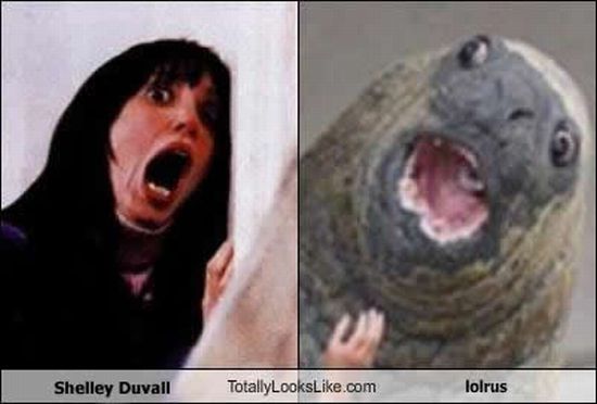 Funny Look Alikes (67 pics)