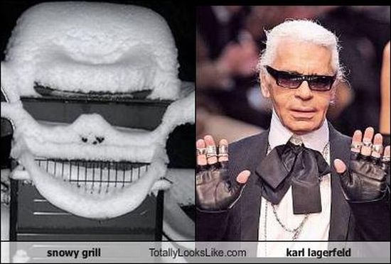 Funny Look Alikes (67 pics)