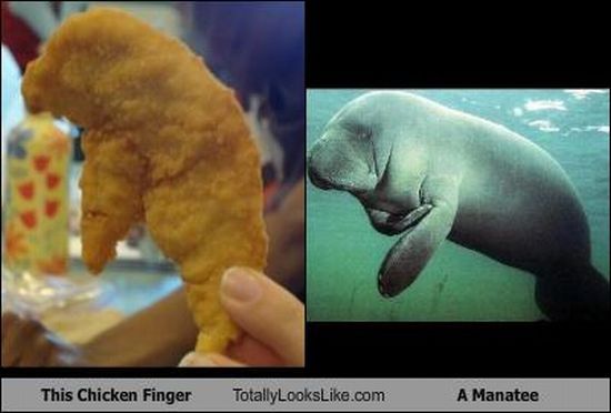 Funny Look Alikes (67 pics)