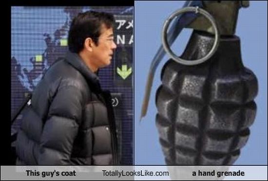Funny Look Alikes (67 pics)