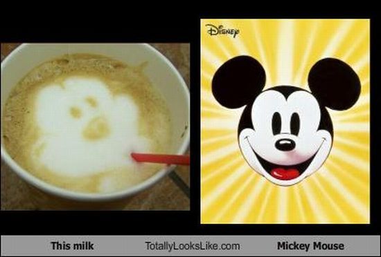Funny Look Alikes (67 pics)