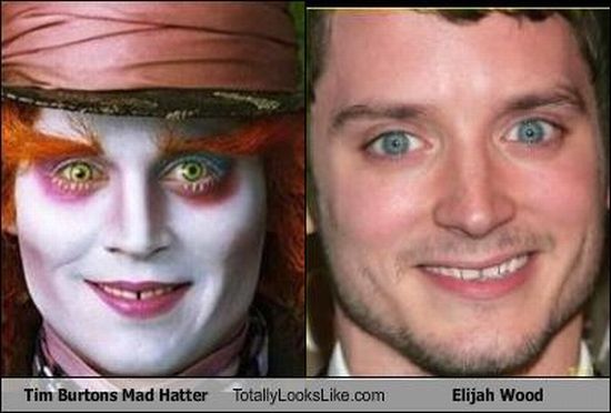 Funny Look Alikes (67 pics)