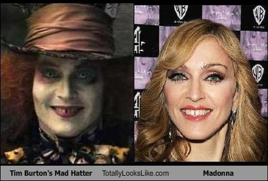 Funny Look Alikes (67 pics)