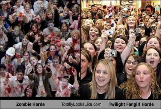 Funny Look Alikes (67 pics)