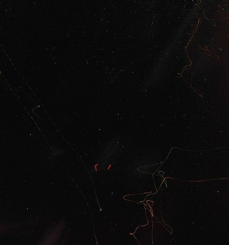 Flying Moths Caught on Camera Leaving Traces Behind Them at Night (17 pics)