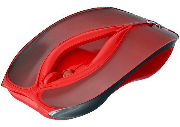 A Mouse or a WHAT??!! (3 pics)