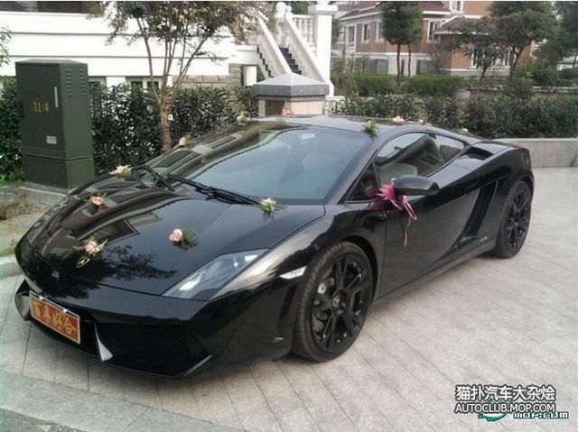 Exotic Chinese Wedding Rides (24 pics)