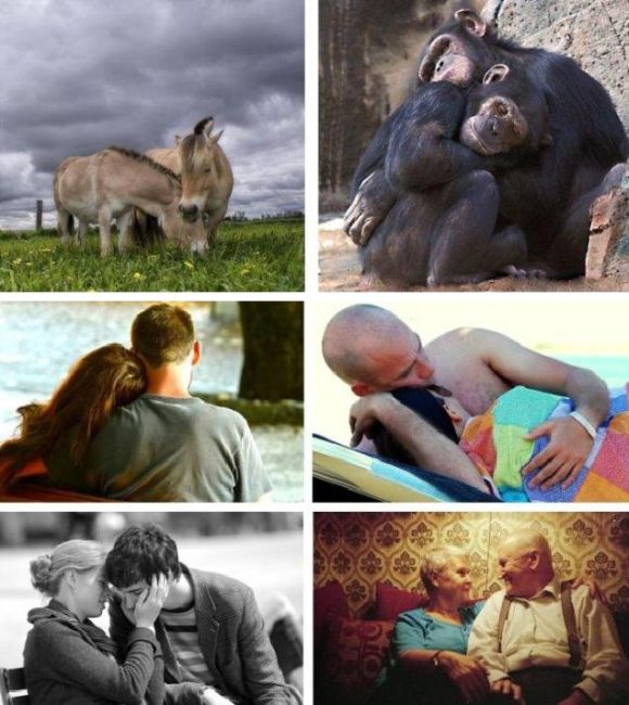 Love Is in the Air (18 pics)