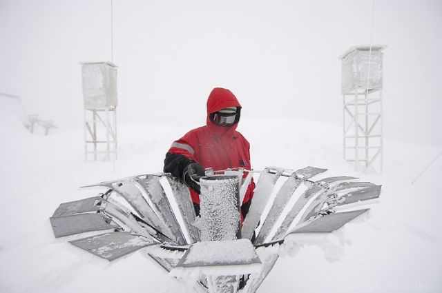 Weather or Not (11 pics)
