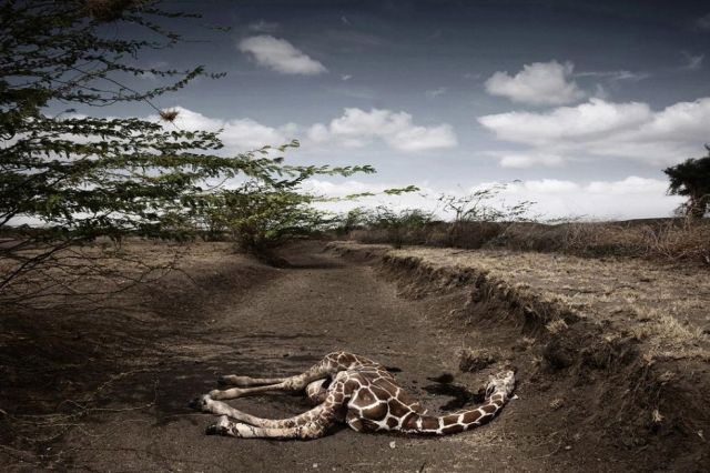Award Winning Photos (23 pics)