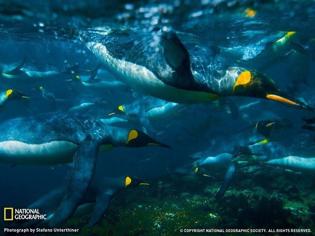The Best Nature Pictures (40 pics)