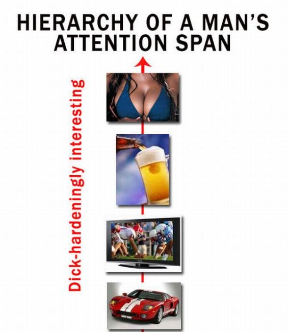 Man’s Attention Span (chronology with 46 pics)