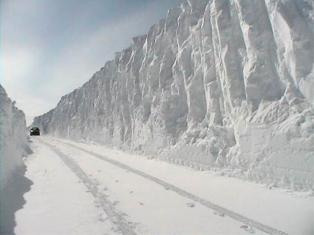 Snowed Under (46 pics)