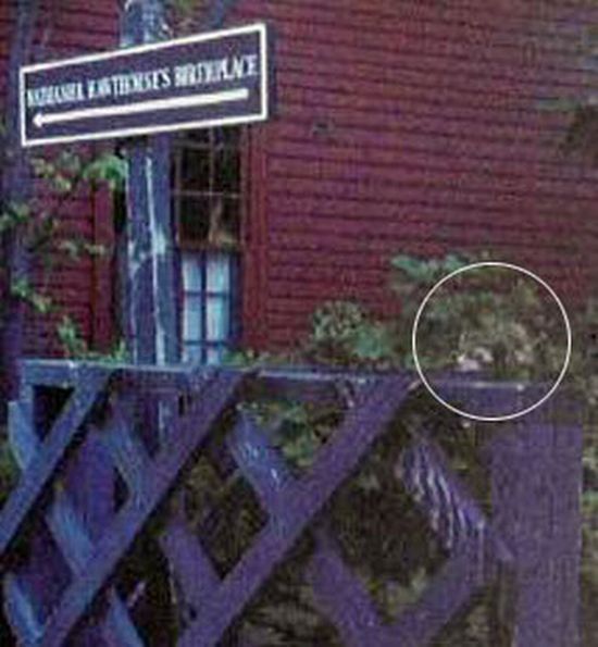 The Best of Ghost Pictures (26 pics + text)