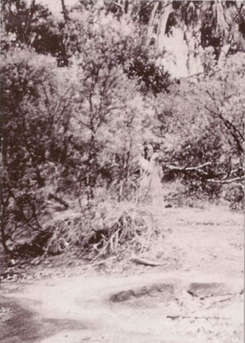 The Best of Ghost Pictures (26 pics + text)