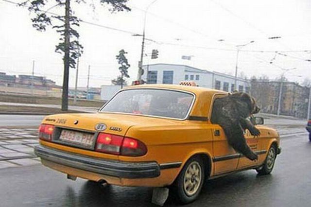 Crazy Taxi Ride Crazy Taxi Ride