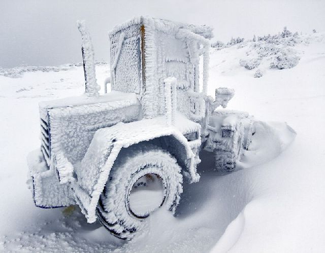Real Snow Realm (21 pics)