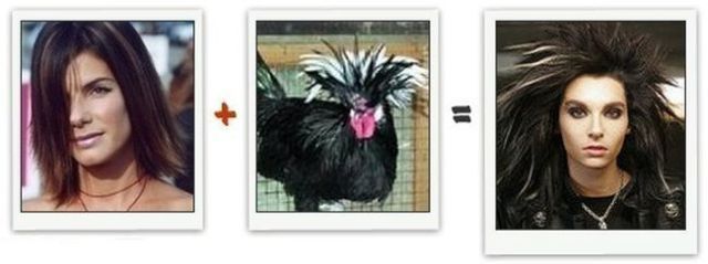 Mathematics Have Never Been Funnier (13 pics)