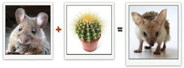 Mathematics Have Never Been Funnier (13 pics)