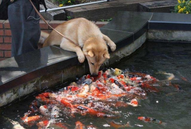 Daily picdump (129 pics)