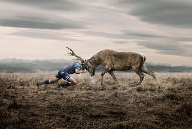 Unusual Photos (60 pics)