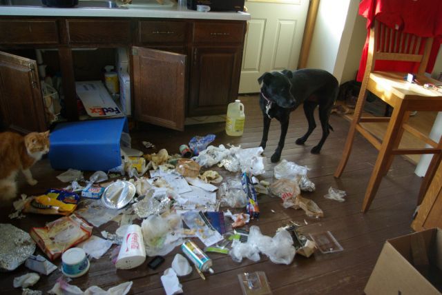 Furry Monsters (35 pics)